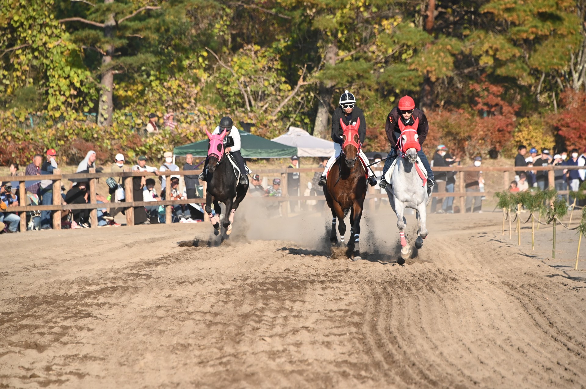 第３５回駒の里草競馬大会②