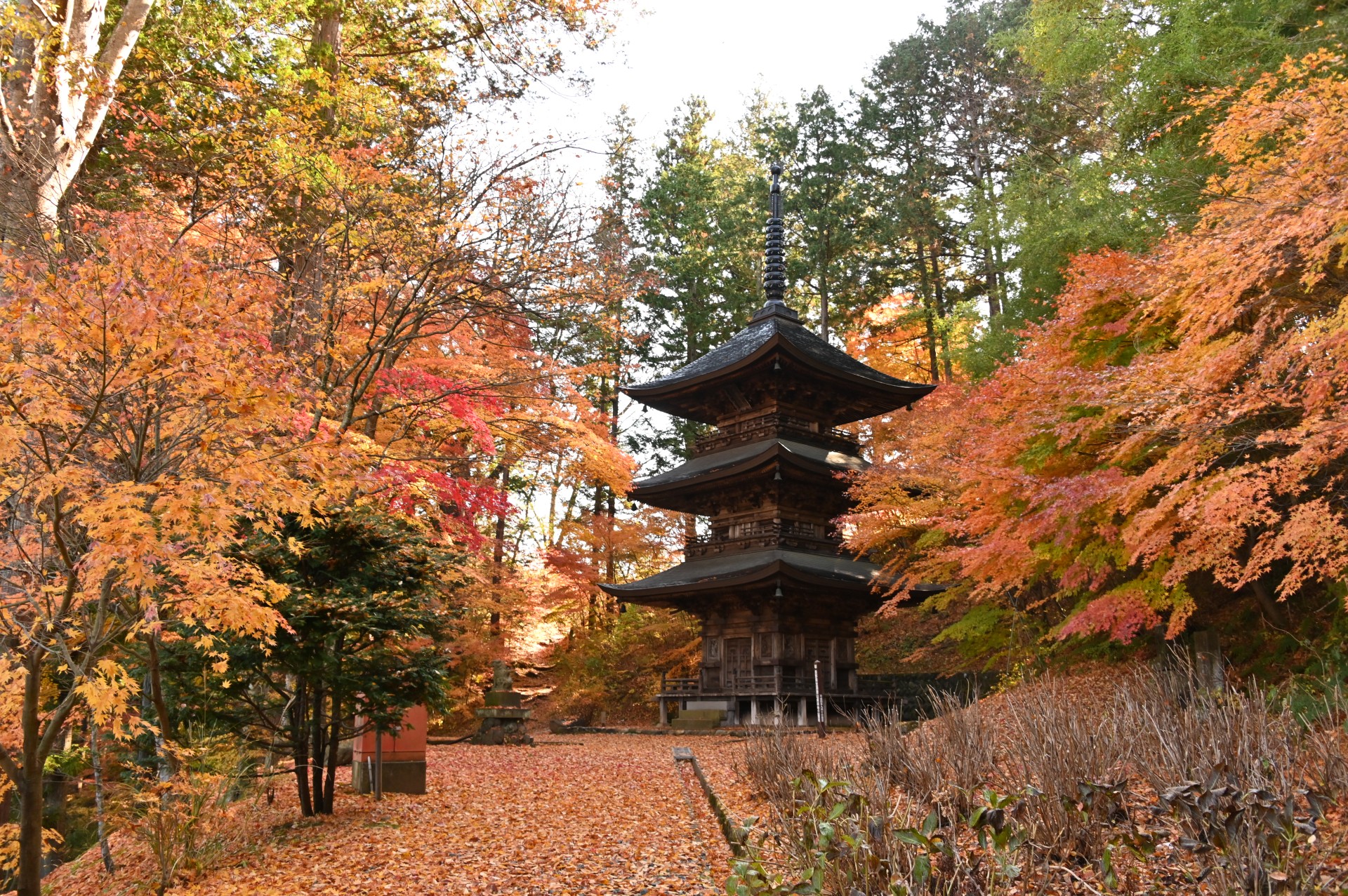 貞祥寺  紅葉③（令和2年）