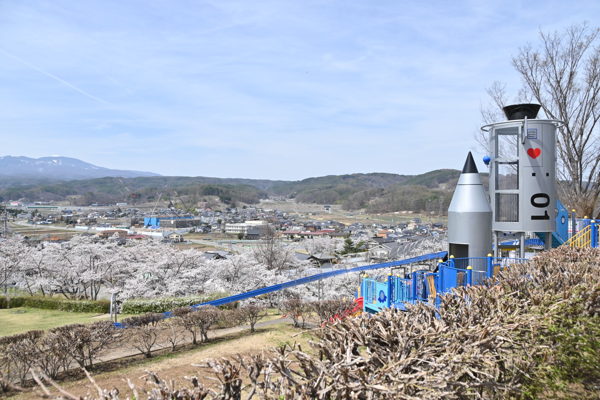 稲荷山公園　桜②