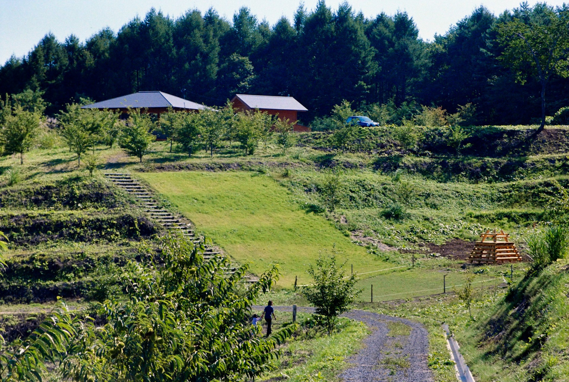 ふるさとの森公園竣工開園④