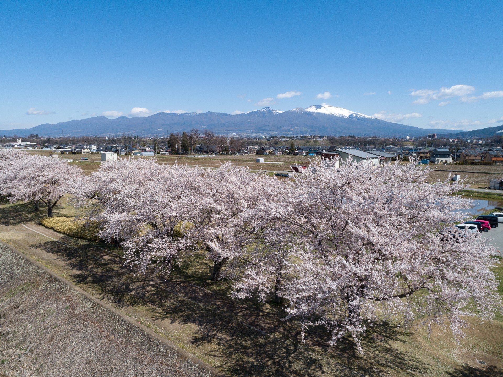 さくラさく小路　上空①