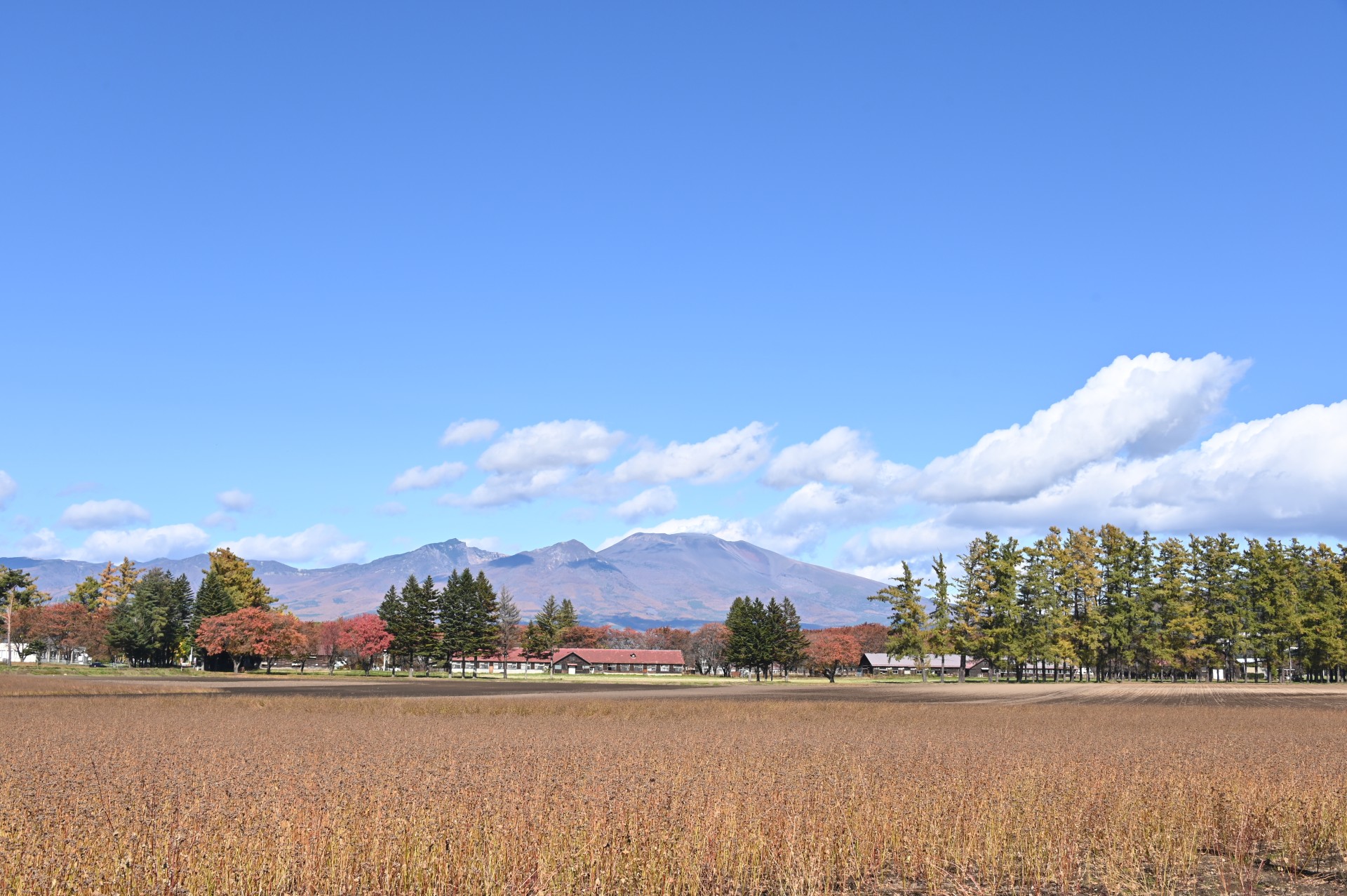 浅間山②（令和2年）