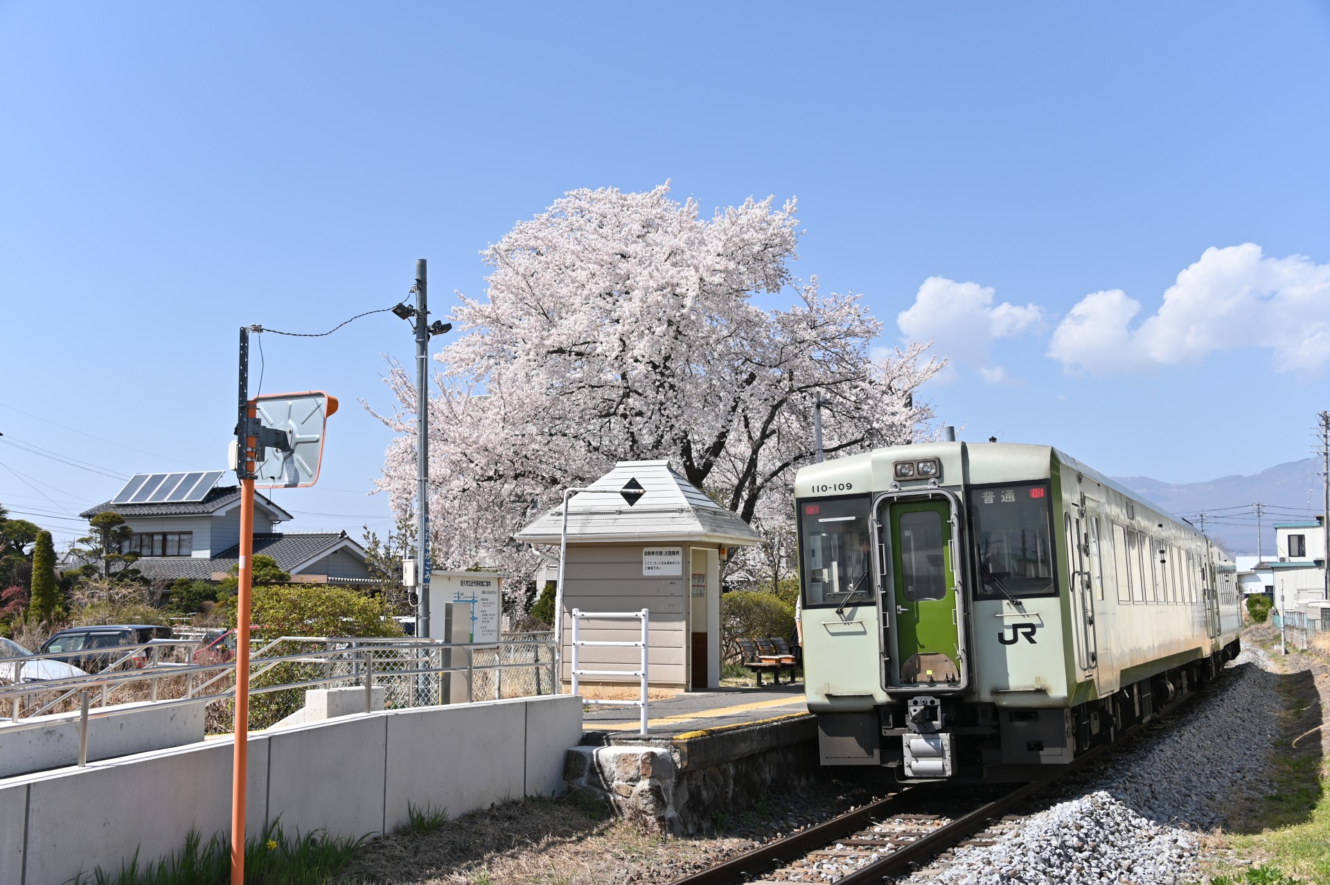 北中込駅　桜①