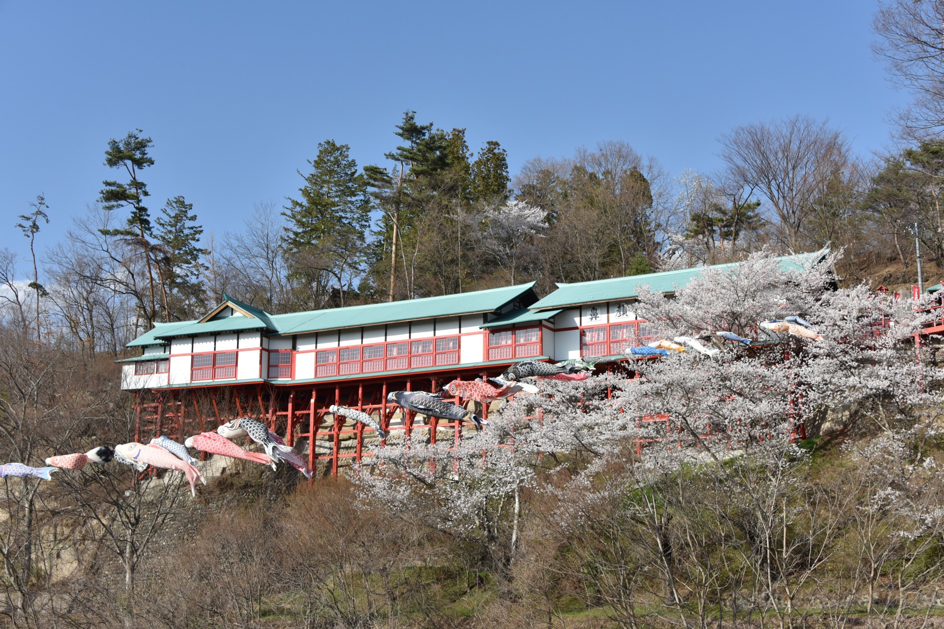 鼻顔稲荷神社　桜①