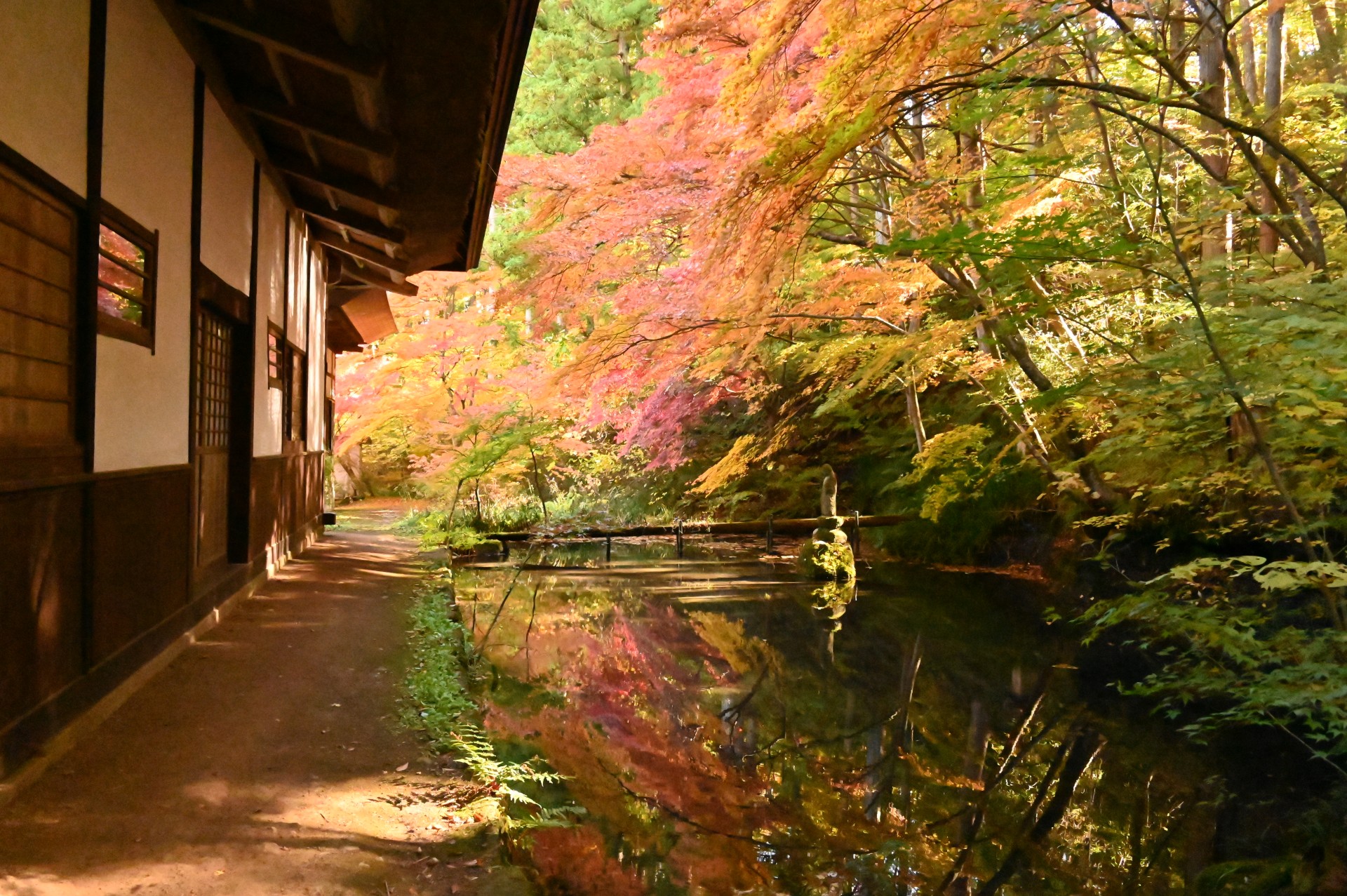 貞祥寺  紅葉①（令和2年）