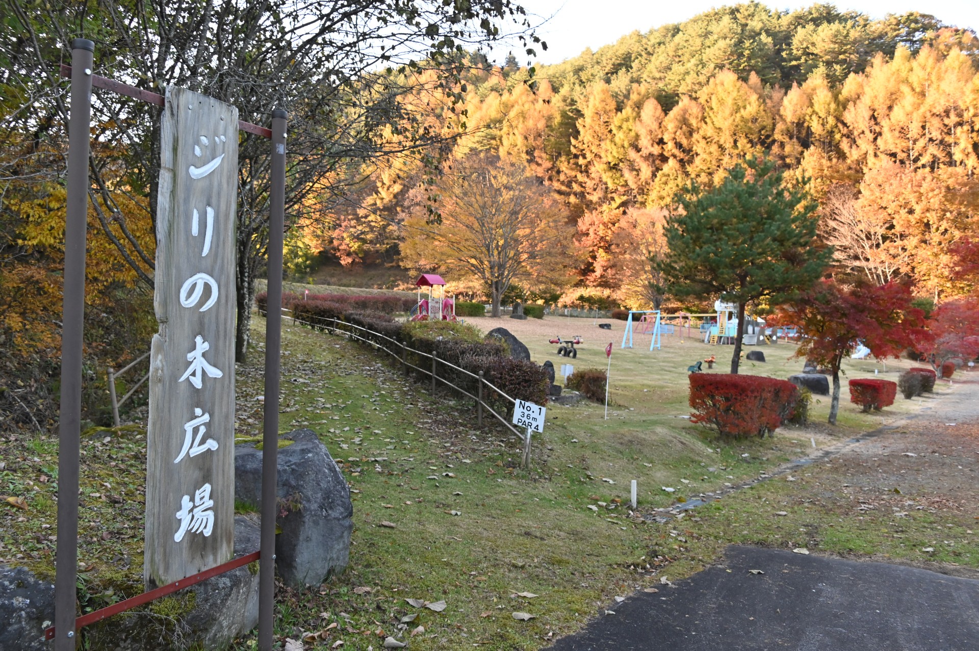 ジリの木広場①　紅葉