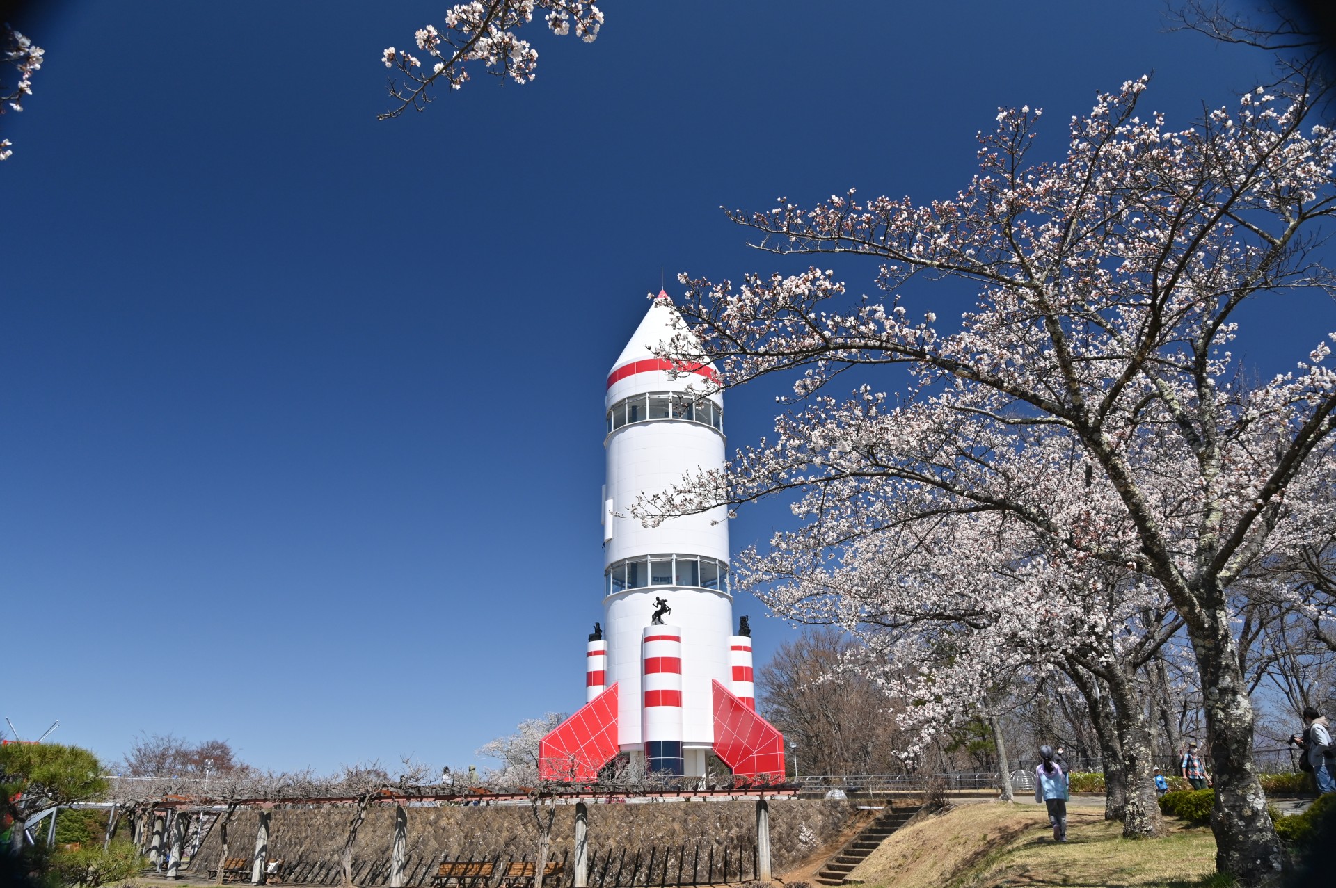 稲荷山公園　桜③