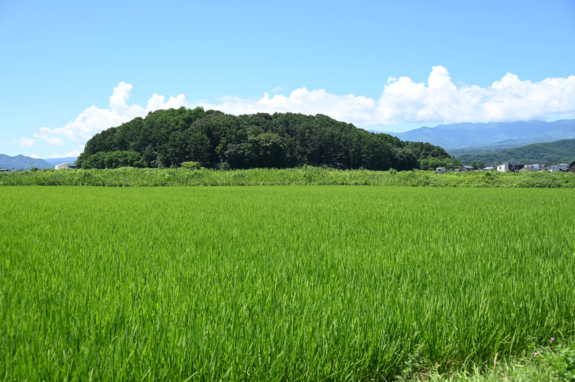 離山