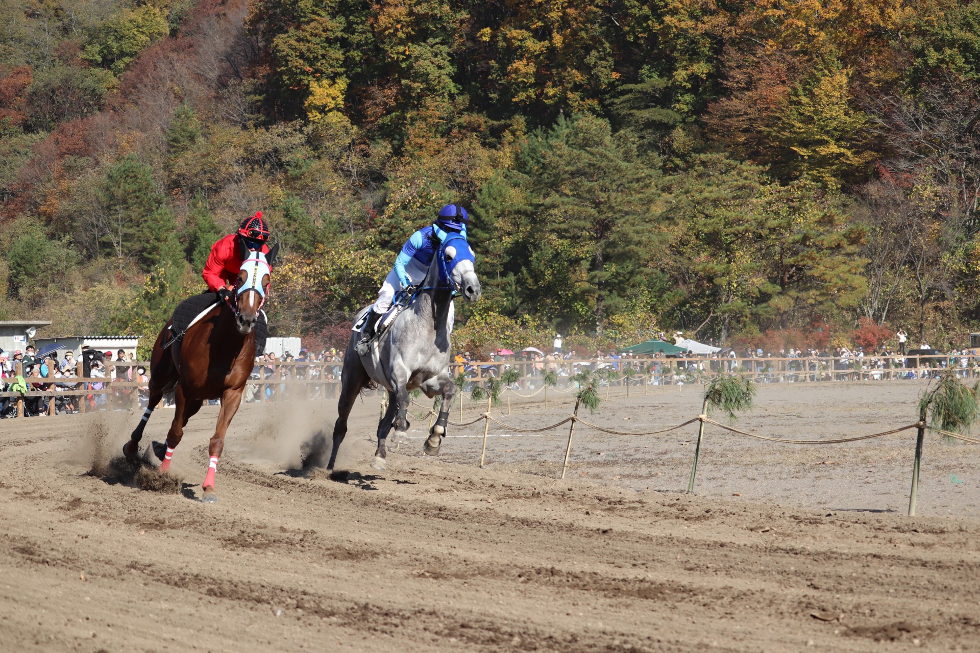 第３５回駒の里草競馬大会③