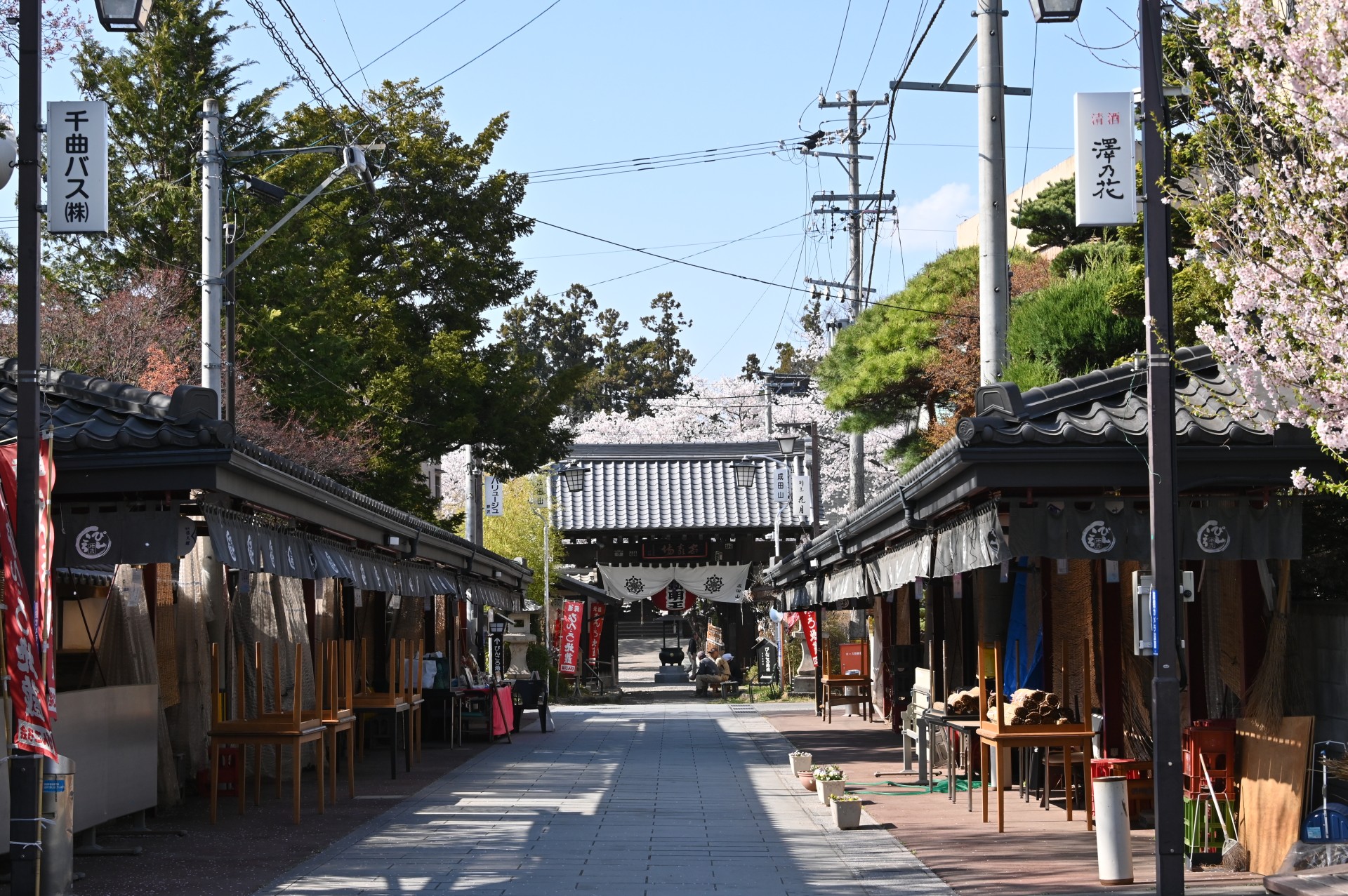 成田山薬師寺　桜①（令和４年）