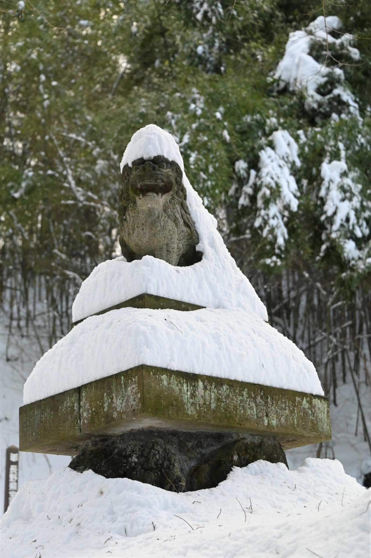 貞祥寺　冬②（令和6年）