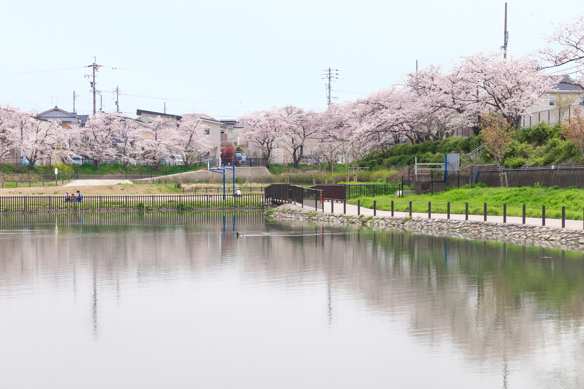 川池公園