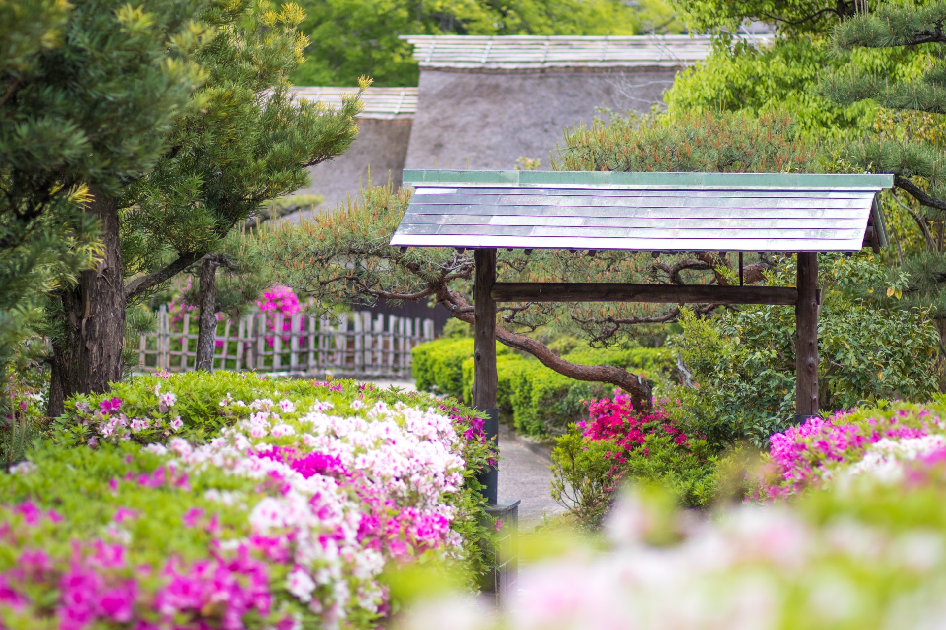 大倉公園