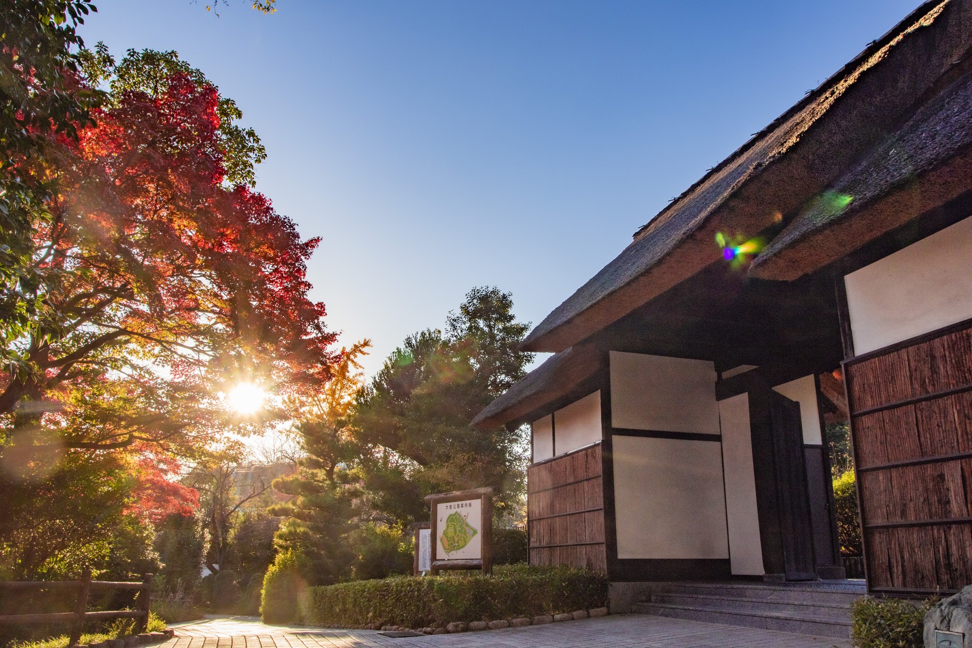 大倉公園茅葺門とモミジ