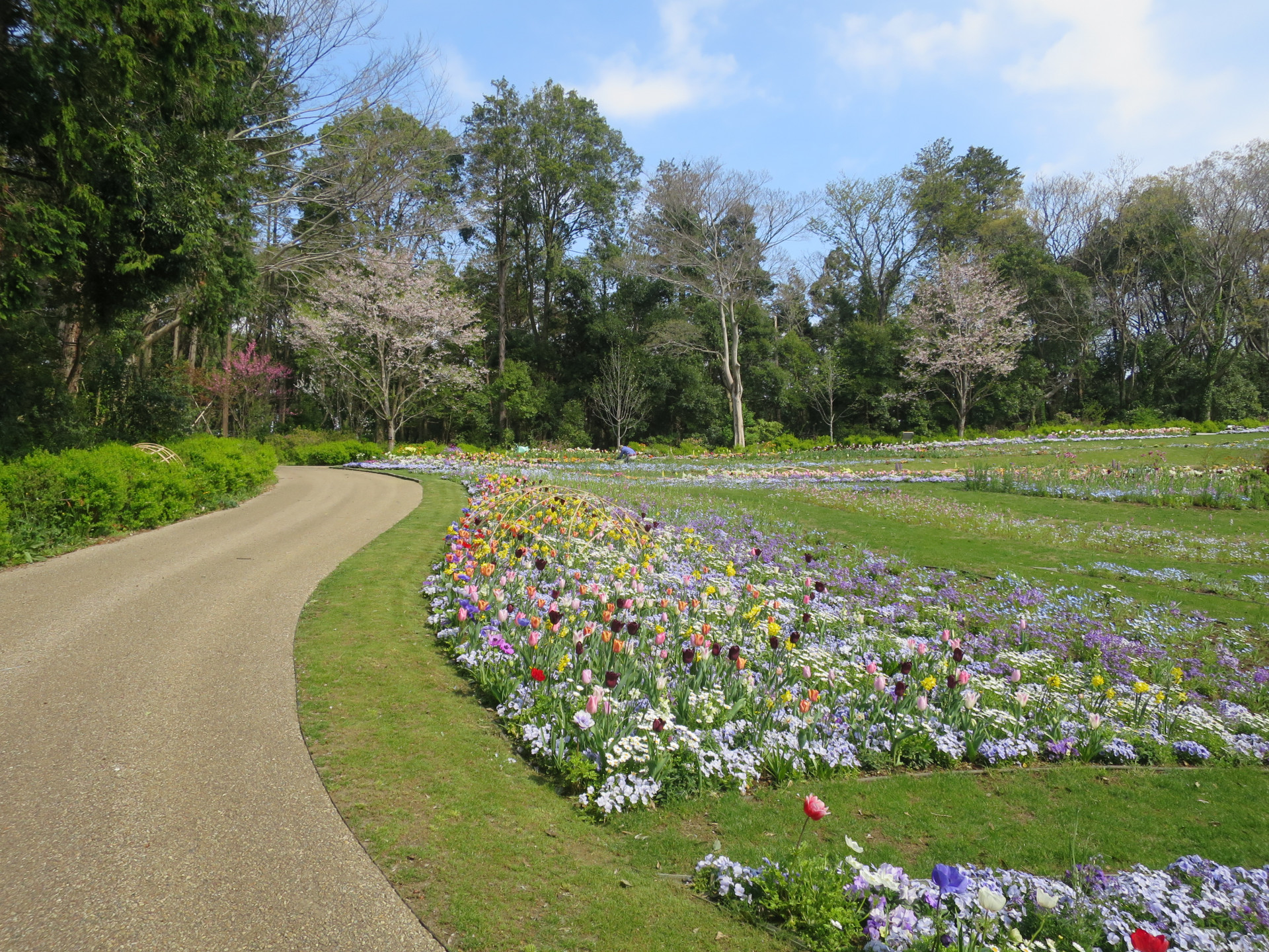 里山ガーデンの花々