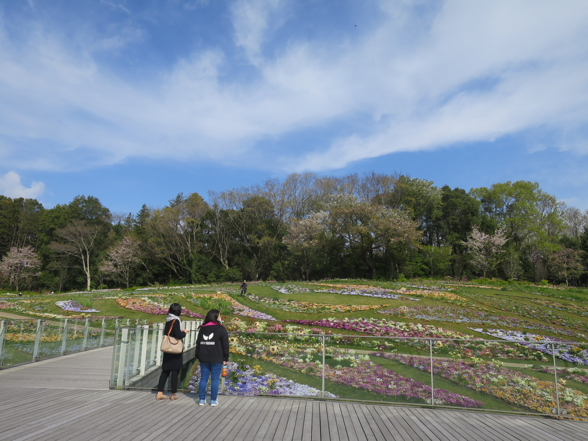 里山ガーデンの花々