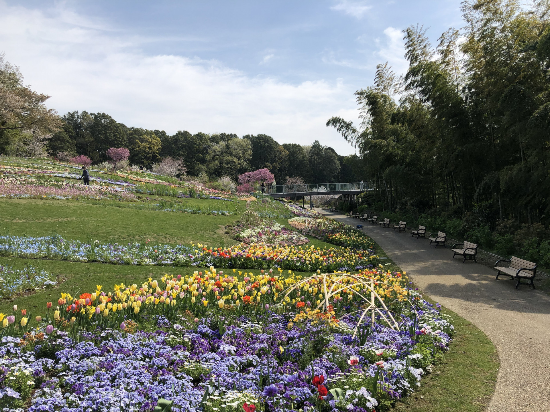 里山ガーデンの花々