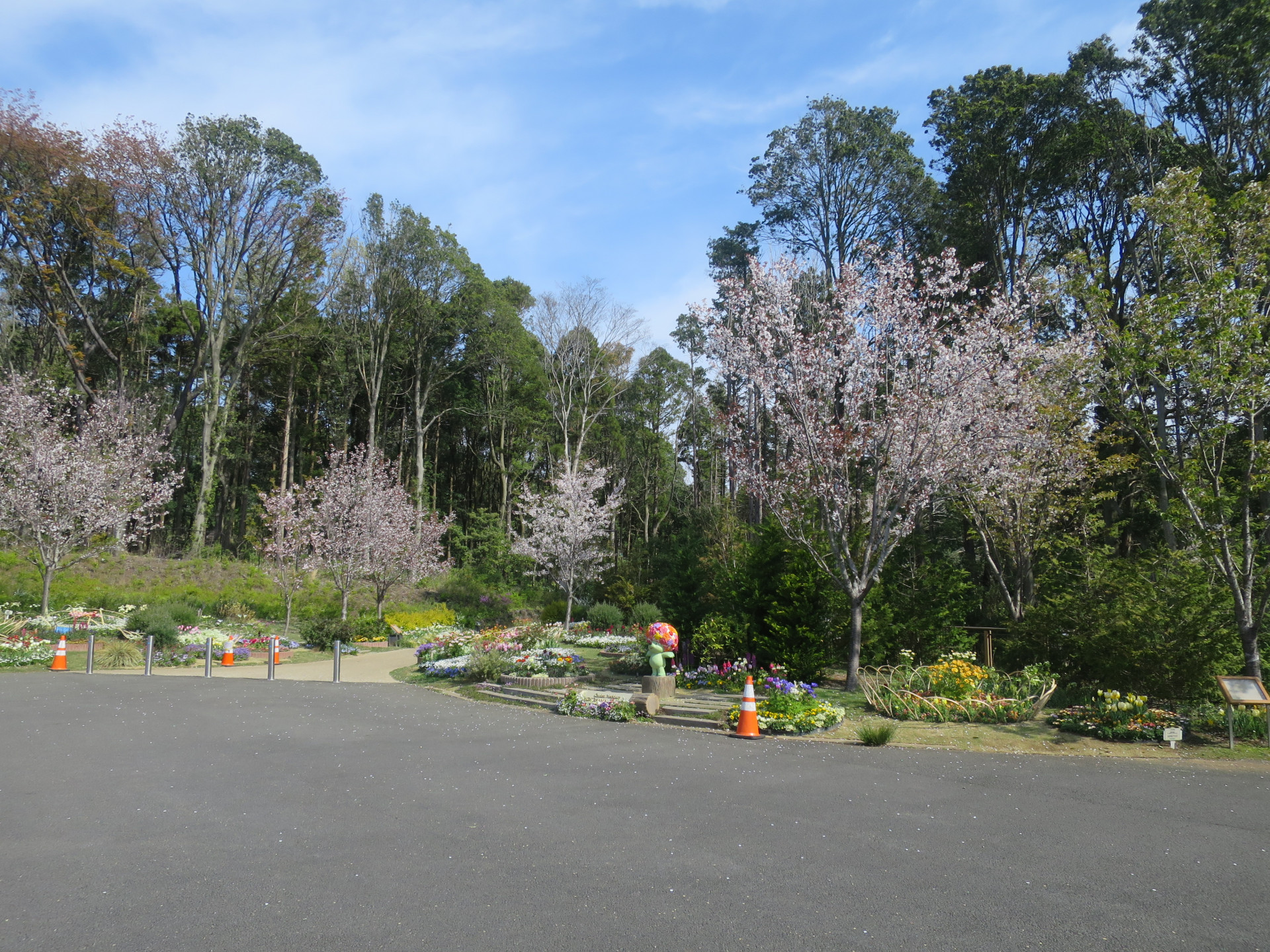 里山ガーデンの花々