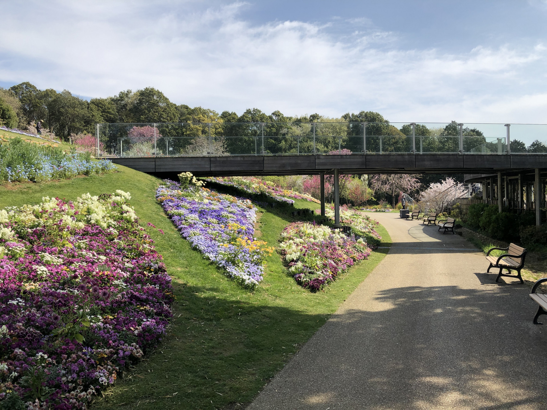 里山ガーデンの花々