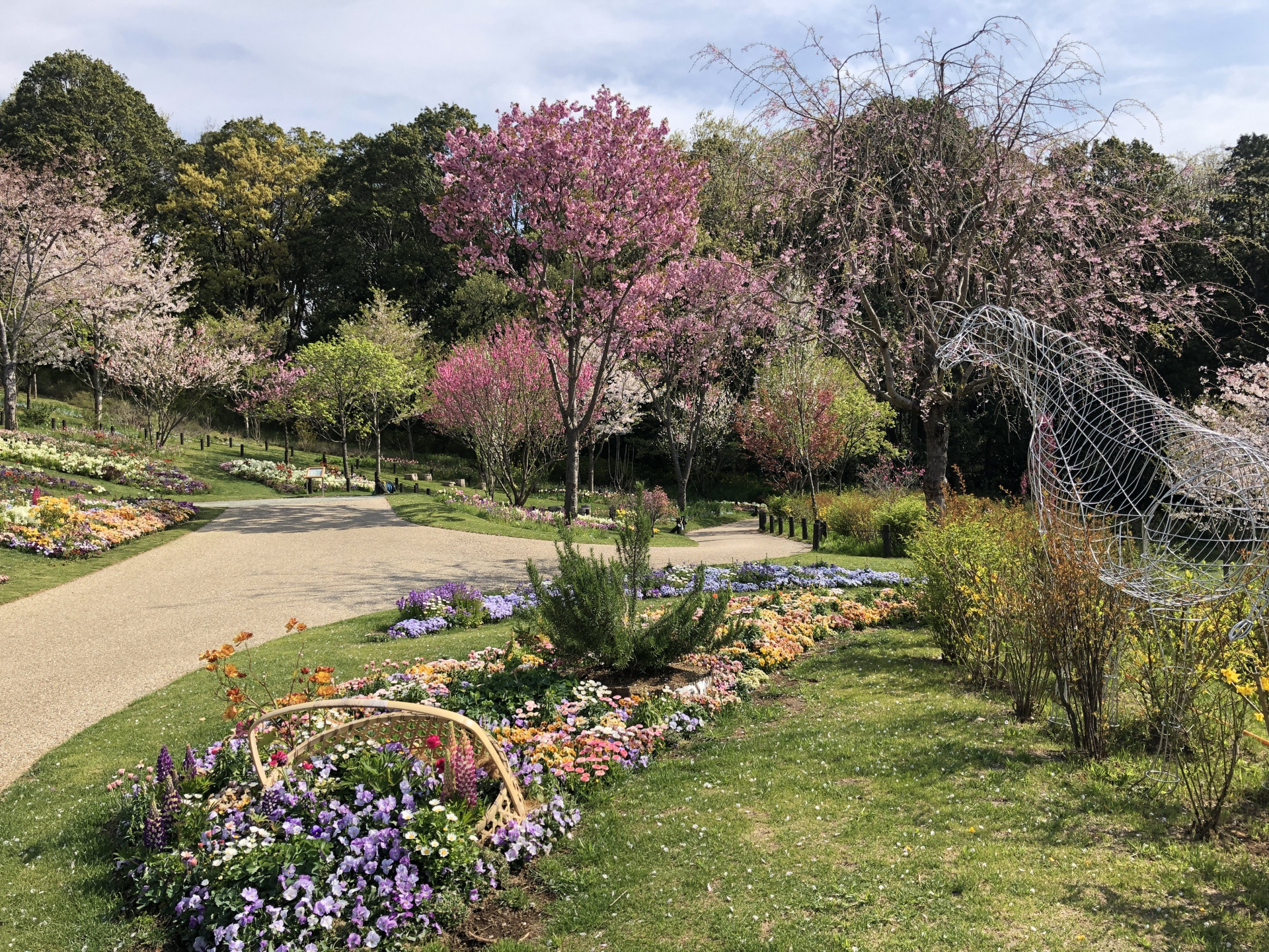 里山ガーデンの花々