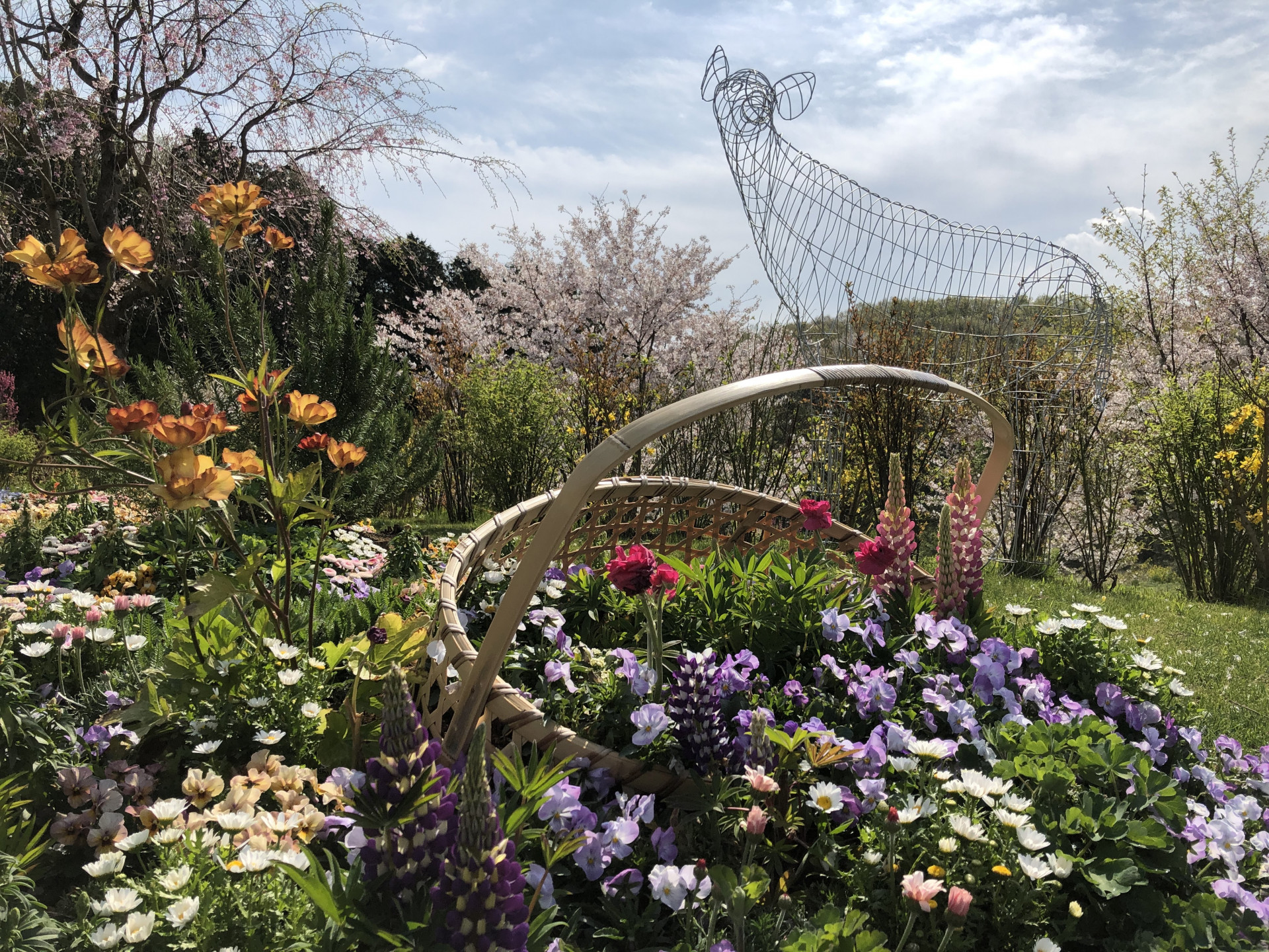 里山ガーデンの花々