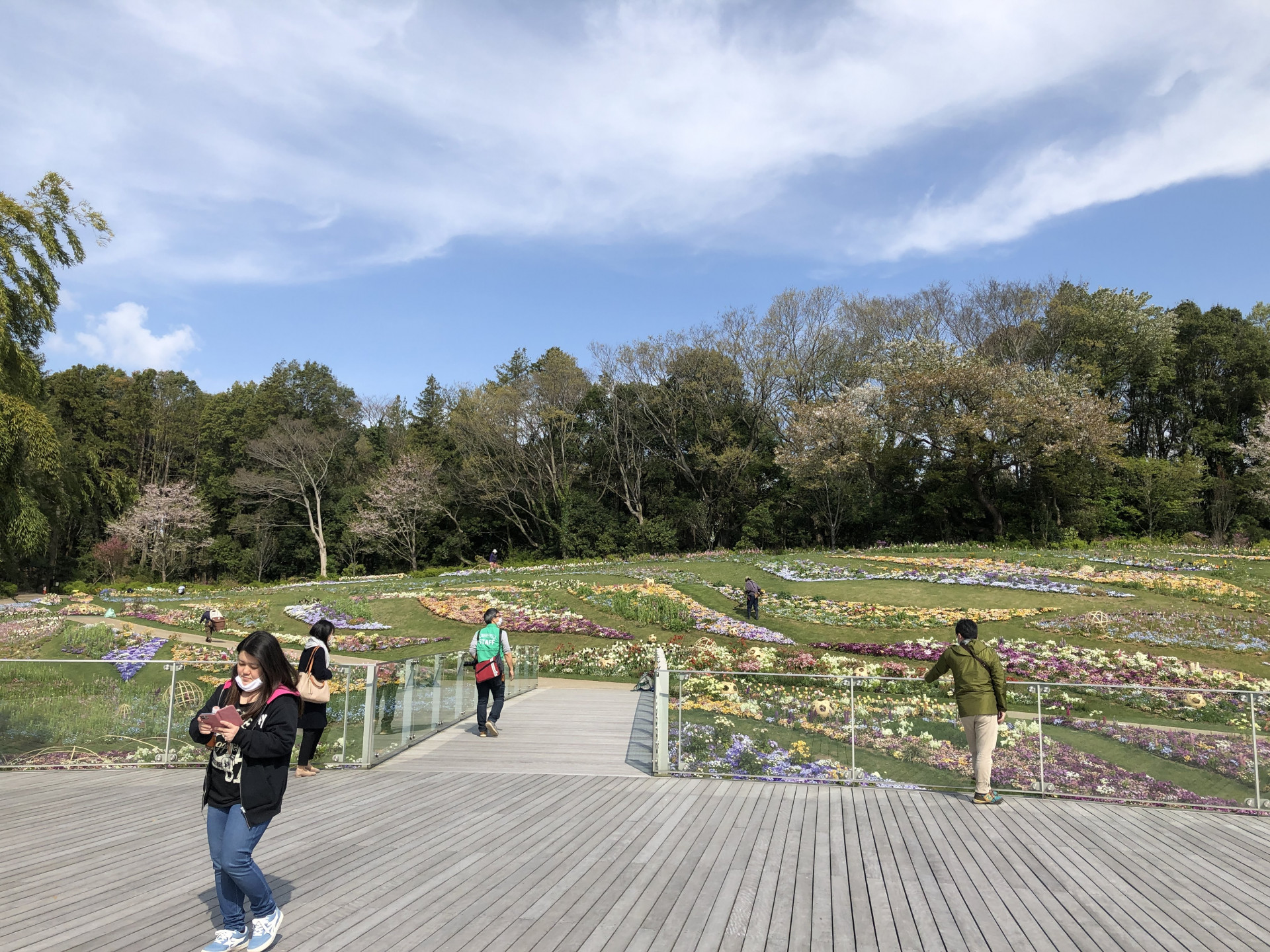 里山ガーデンの花々