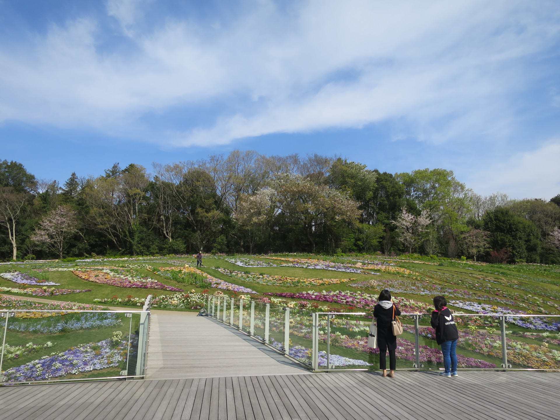 里山ガーデンの花々