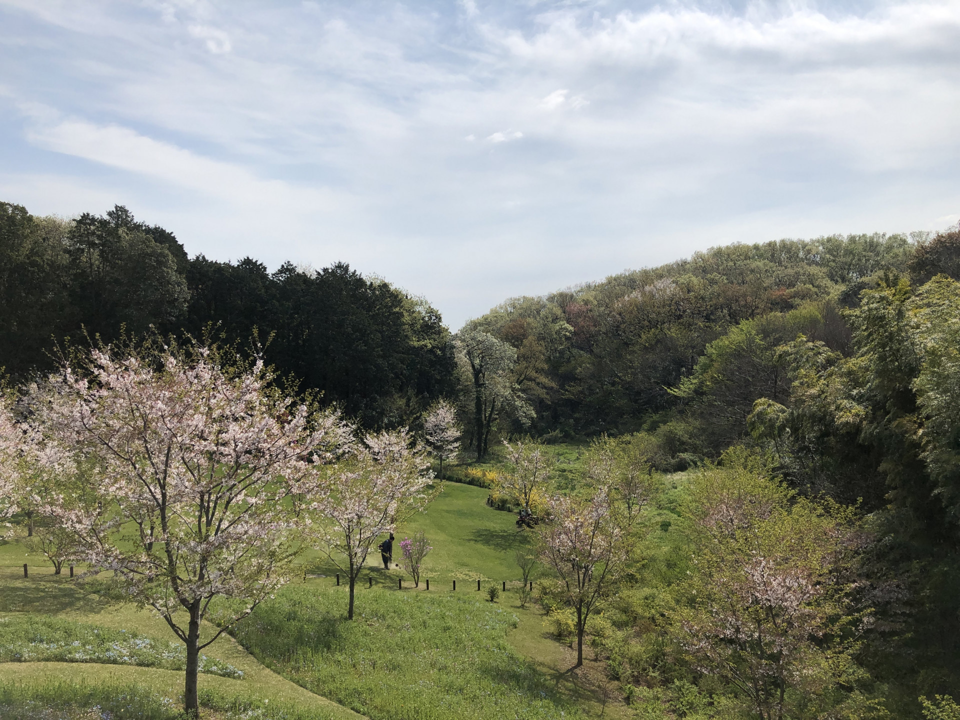 里山ガーデンの花々