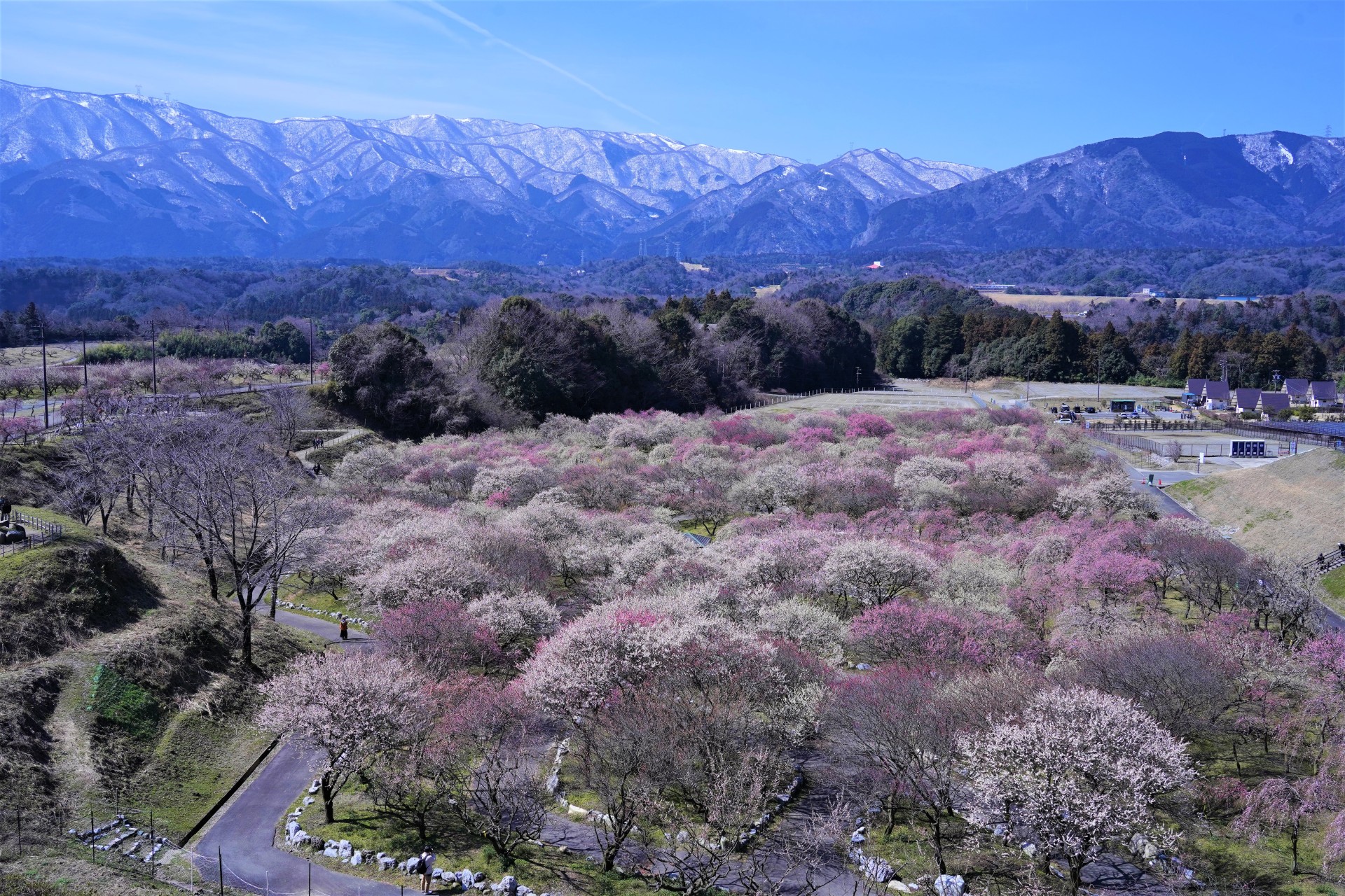 梅林公園（雪）