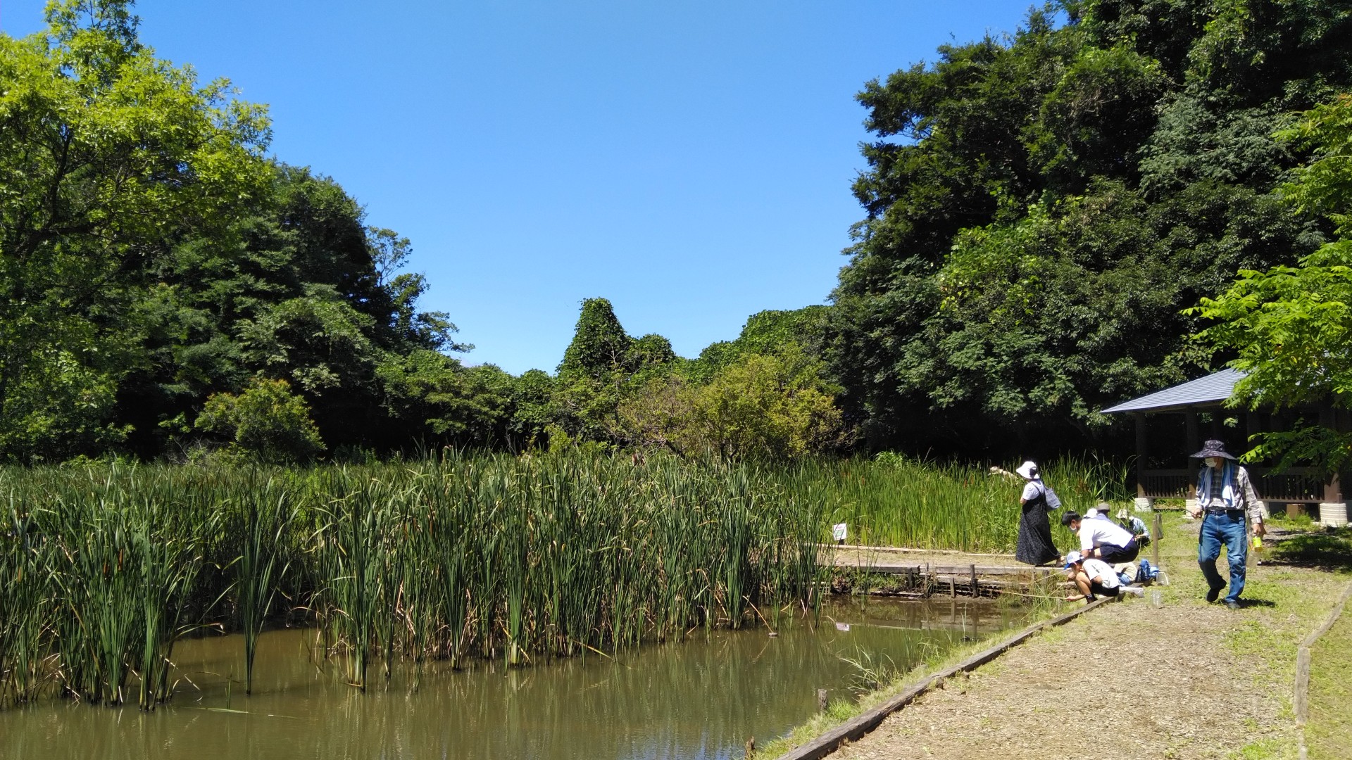 亀山里山公園みちくさ