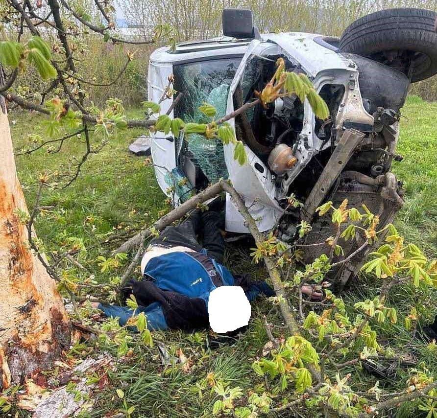 На Виноградівщині автомобіль врізався в дерево - водій загинув
