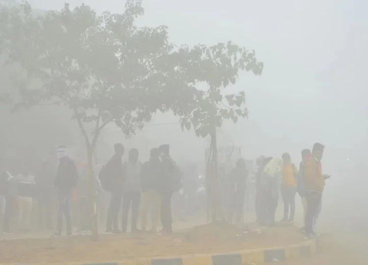 Rajasthan weather update: नए साल में लोगों पर कहर बनकर टूटेगी ठंड, 11 जिलों के लिए जारी हुआ ये अलर्ट