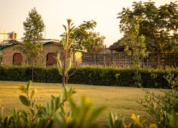Travel Tips: मकर संक्रांति पर Trishla Farmhouse पर लें पतंगबाजी का मजा, परिवार के साथ यादगार बनेगा दिन