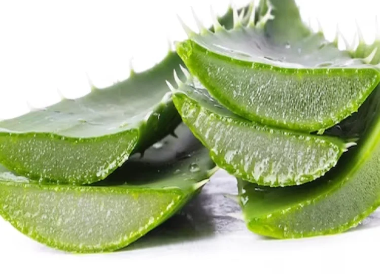 Beauty Tips: चेहरे की खूबसूरती को बढ़ाने के लिए इस प्रकार करें एलोवेरा का उपयोग