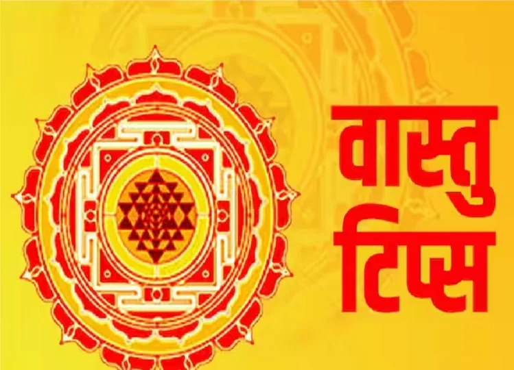Vastu Tips: घर से जुड़े इन वास्तु दोषों को कर लें दूर, हमेशा पैसों से भरी रहेगी आपकी जेब