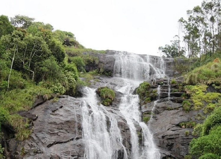 Travel Tips: केरल में बहुत ही खूबसूरत हैं ये तीन पयर्टक स्थल, भ्रमण करने से यादगार बन जाएगा टूर