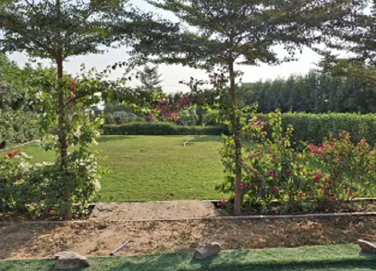 Travel Tips: हल्दी-मेहंदी कार्यक्रम के लिए शानदार जगह है Trishla Farmhouse, आज ही कर लें बुक