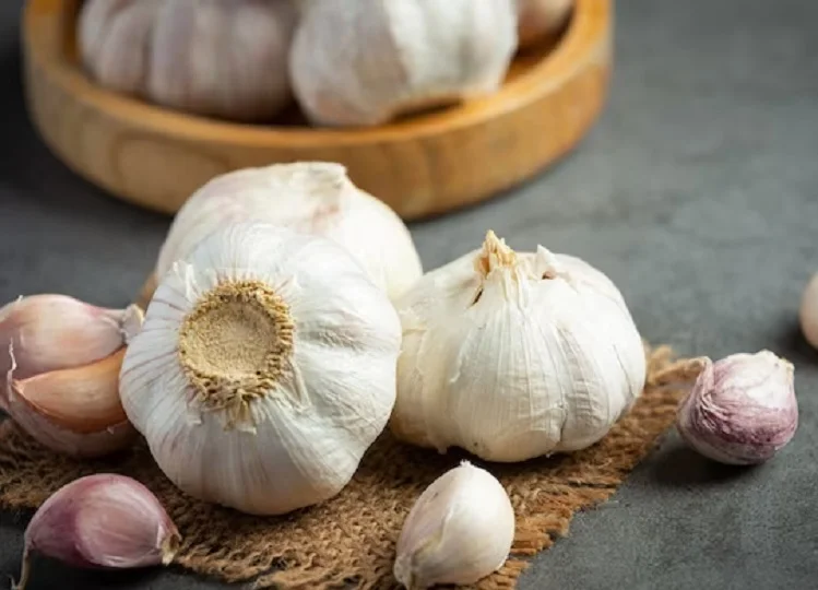 Health Tips: लहसुन का इस प्रकार करें सेवन, इन बीमारियों का खतरा हो जाएगा कम