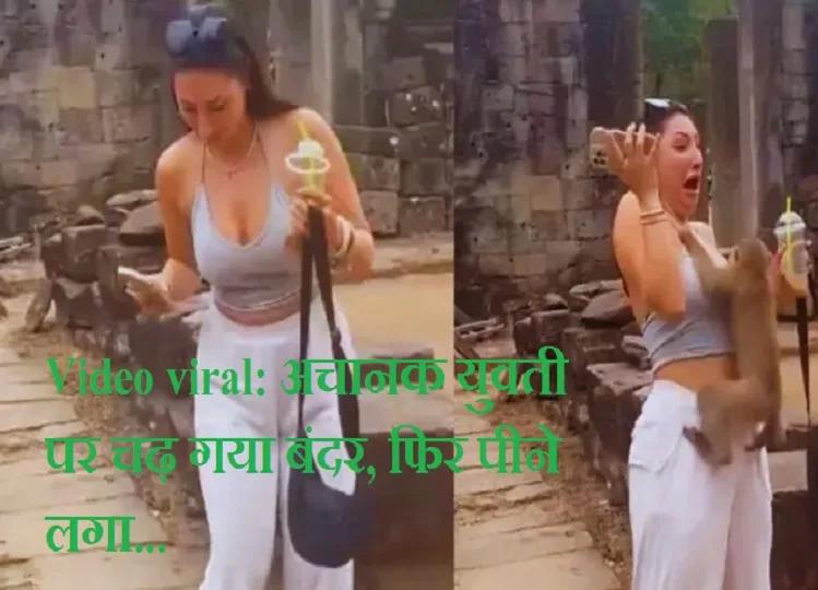 Video viral: अचानक युवती पर चढ़ गया बंदर, फिर पीने लगा...