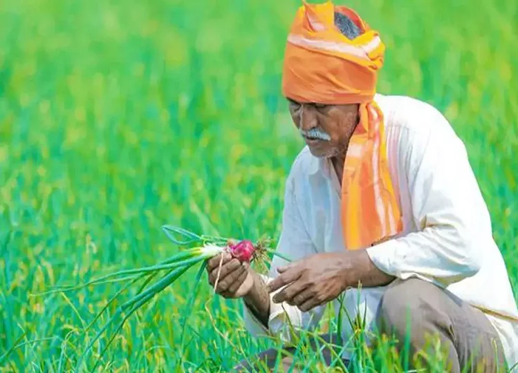 Government scheme: सरकार किसानों के लिए लाने जा रही है अब ये योजना, 28 जनवरी को होगी लॉन्च