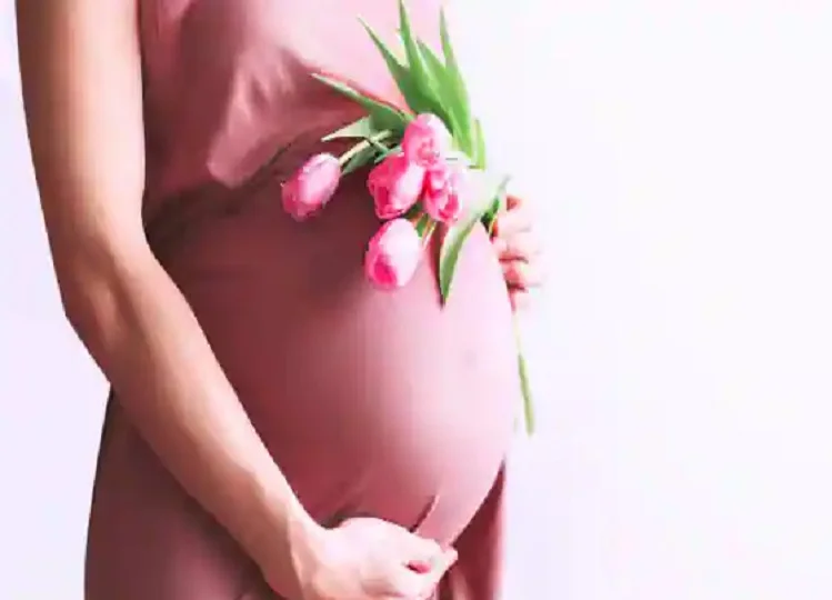 Health Tips: गर्भावस्था में नहीं होगी विटामिन बी-12 की कमी, इन चीजों को डाइट में कर लें शामिल