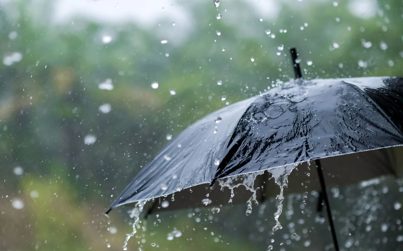 Rajasthan weather update: फरवरी के दूसरे सप्ताह तक जारी रहेगा ठंड का कहर, इन संभागों में होगी बारिश