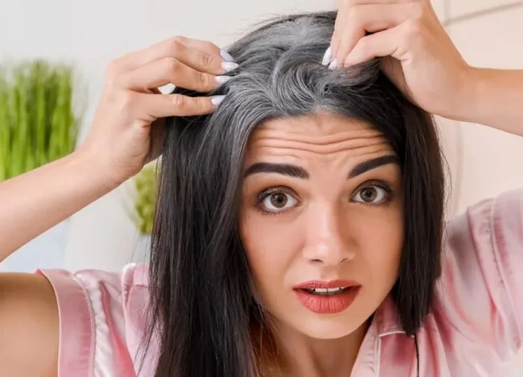 Hair Care Tips: सफेद बालों की परेशानी हो जाएगी दूर, कर लें इस पेस्ट का उपयोग