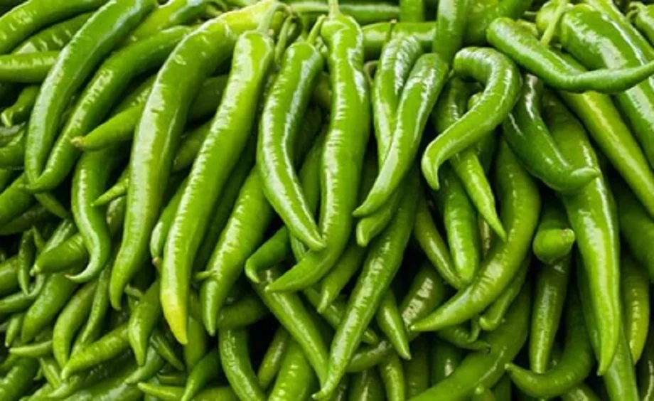 Health Tips: दिल की बीमारियों का खतरा कम कर देती है हरी मिर्च, खाने से मिलते हैं सेहत को ये लाभ