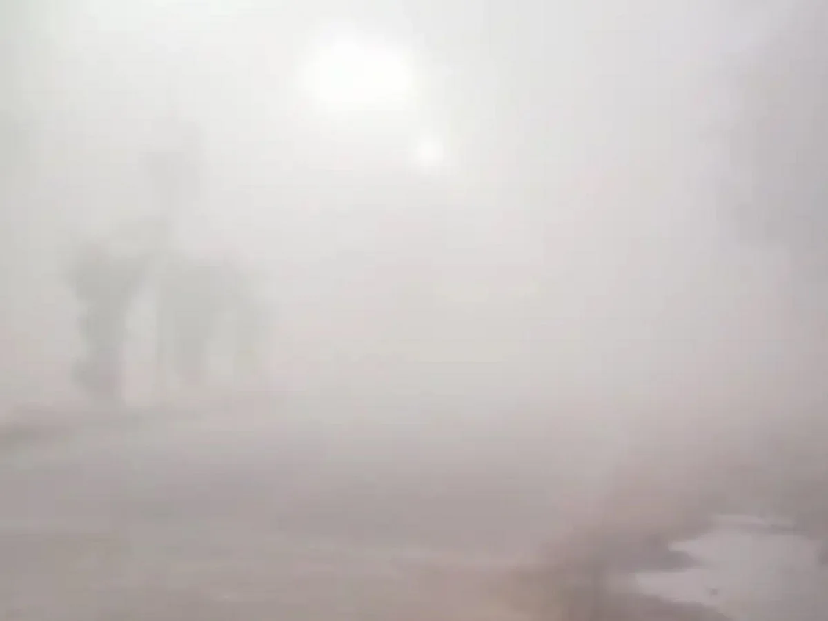 Rajasthan Weather Update: इन आठ जिलों के लिए जारी हुआ शीतलहर का येलो अलर्ट, इस दिन से सक्रिय होगा मजबूत पश्चिमी विक्षोभ
