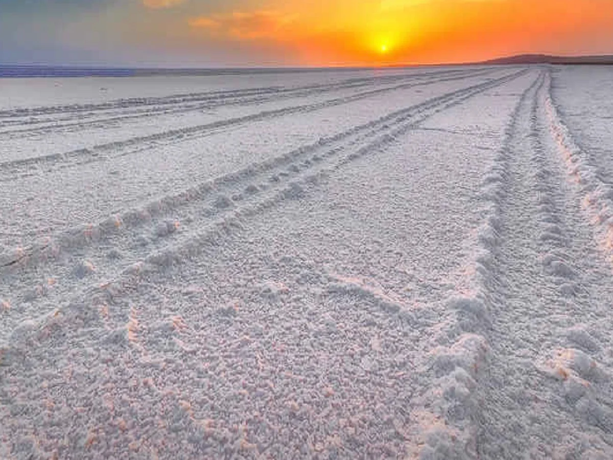 Travel tips:  चांदनी रात में नमक के रेगिस्तान की खूबसूरती देखकर हैरान रह जाएंगे आप, आज ही बना लें कच्छ का टूर