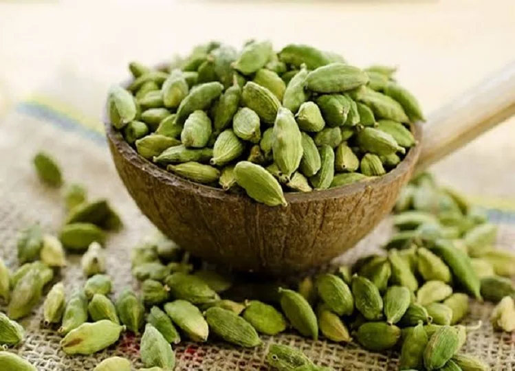 Health Tips: रोजाना दो इलायची का सेवन करने से सेहत को मिलते हैं गजब के लाभ