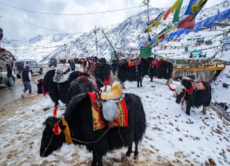 Travel Tips: वैलेंटाइन वीक में पार्टनर के साथ करें सिक्किम की यात्रा, आईआरसीटीसी ने पेश किया है शानदार टूर पैकेज
