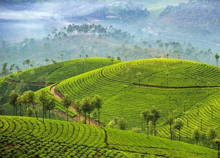 Travel Tips: फरवरी में घूमने के लिए बड़ी ही खूबसूरत हैं यह जगह, आ जाए आप भी