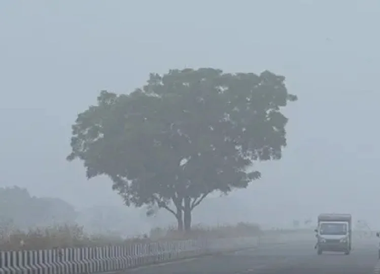 Rajasthan weather update: देखने को मिल रहा है तापमान में उतार-चढ़ाव, आज ऐसा रहेगा प्रदेश में मौसम